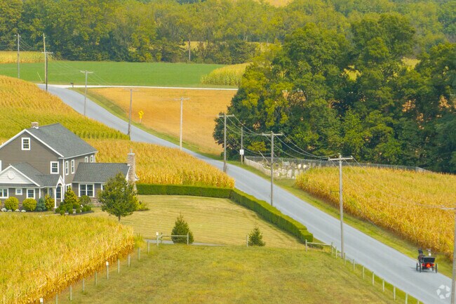 It's not rare to see a horse drawn buggy in rural Paradise.