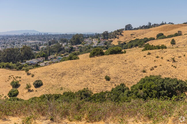 Oak Knoll's King Mountain Open Space is one of the few untouched wildernesses left in Oakland.