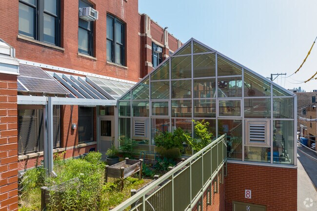 Outdoor garden and atrium, Lincoln Elementary School, Chicago.