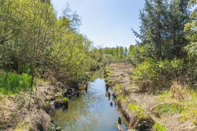 Wapato Creek runs through East Fife and provides some beautiful scenery for folks to gaze at.