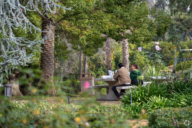 Enjoy the serene surroundings at Prospect Park.