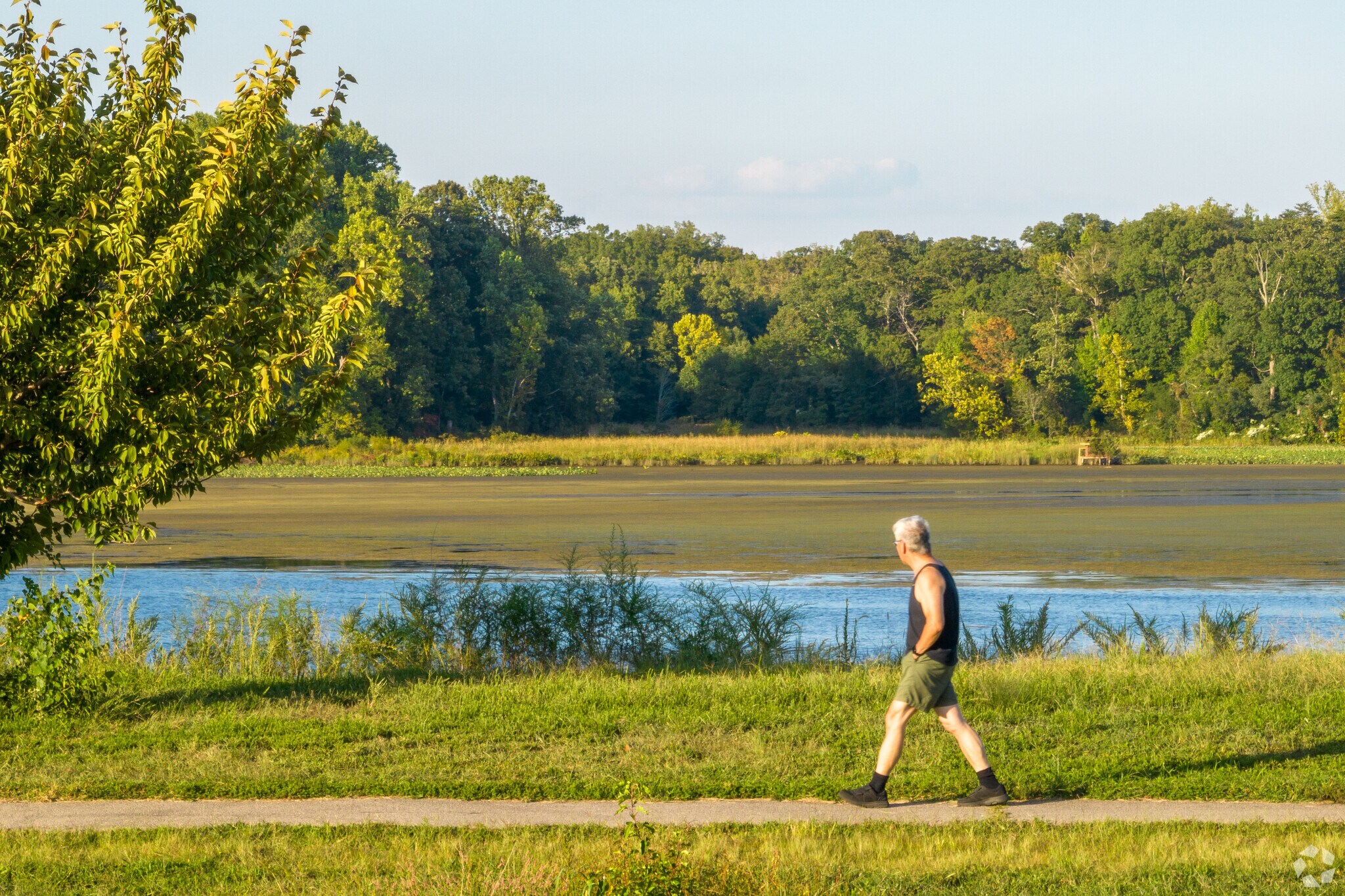 Belmont Bay is filled with walking trails for residents to enjoy.