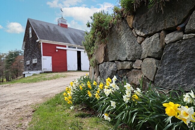 There is beauty behind every field stone wall in South Eliot.