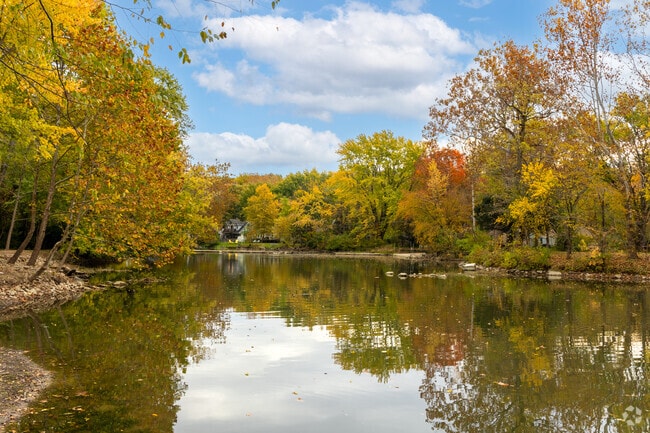 One of the beautiful tributaries that flow through the Brooks-Luxhaven area.