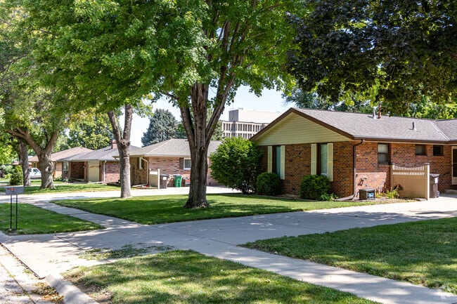 Large shade trees are common in Taylor Park yards.