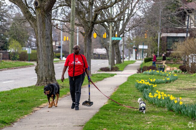 Voigt Park is an ideal spot to walk your dog to for exercise.