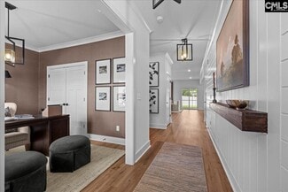 574 Griffon Dr, Chapin, SC 29036