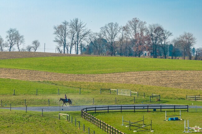 With the available space in Upper Bern, residents are able to do activities like riding horses.