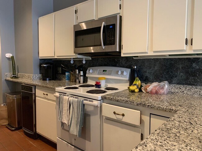 556 Columbus Ave unit 3, Boston, MA 02118 - photo 3