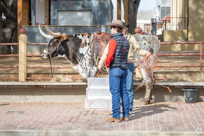 Blue Mound's heritage comes alive with its iconic Texas longhorns.