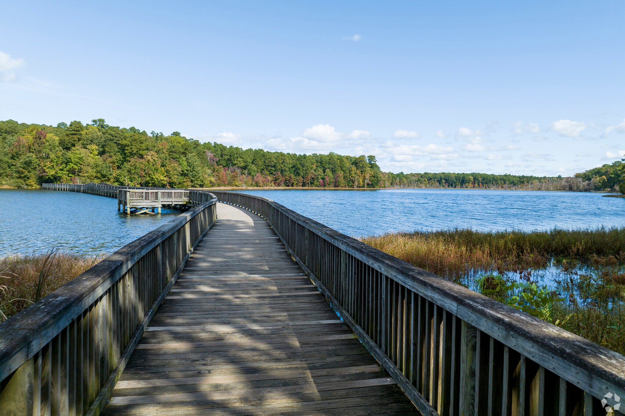 Newport News Park lets Windsor residents reconnect with the beauty surrounding them.