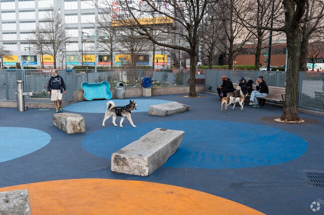 The dog run at Pier 84 Park is a great way for your pooch to get exercise in Hell's Kitchen.