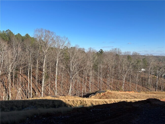 138 Shale Dr, Central, SC 29630 - photo 6