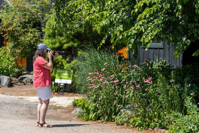 Nature photographer frames a floral shot at Great Bay Reserve in coastal New Hampshire.