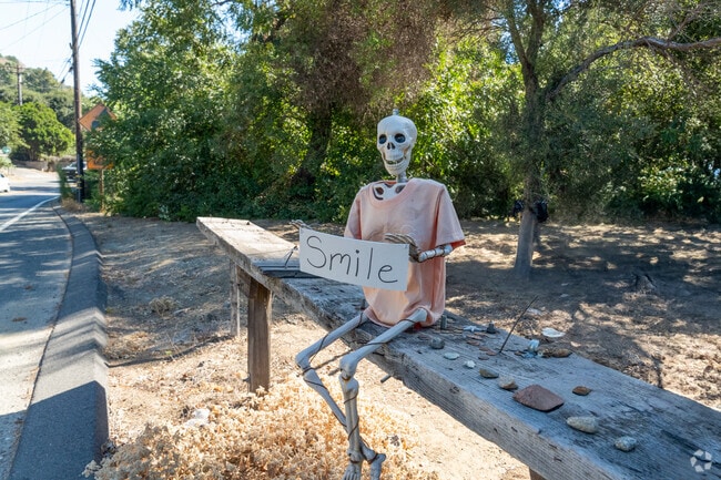 Sleepy Hollow has it's very own mascot 