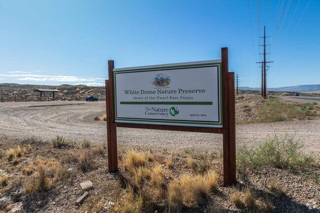 White Dome Nature Preserve is home to the dwarf bear poppy and the Siler pincushion cactus.
