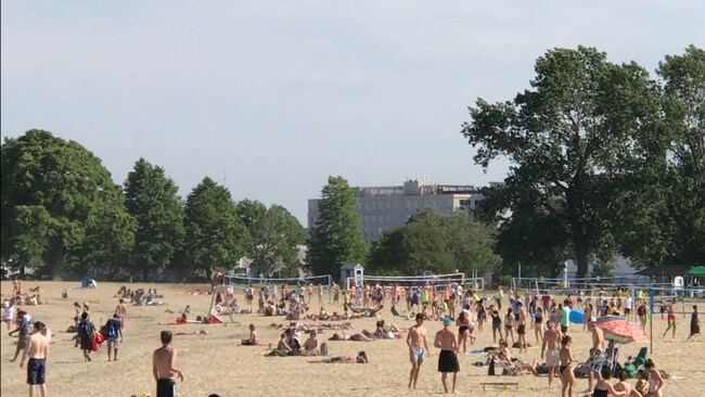 130 W 8th St unit 2, Boston, MA 02127 - photo 6