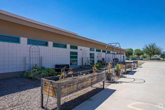 Nature's Classroom: Serene Garden Area at Collier Elementary in Avondale.