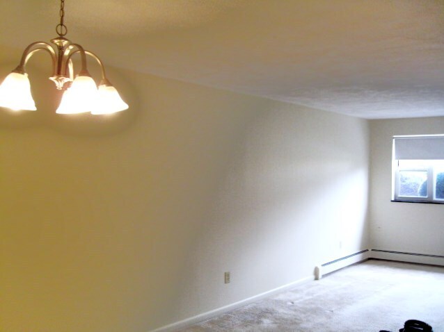 166 Lexington St unit 1, Auburndale, MA 02466 - photo 3