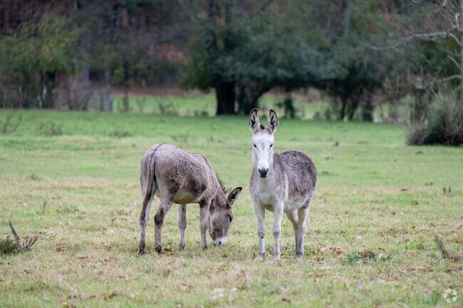 Concord is a friendly community that has a charming rural atmosphere.