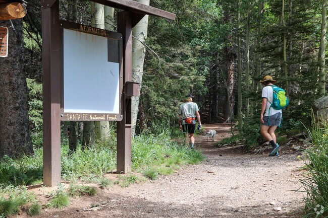 The wilderness around Hyde Park is perfect for dog owners who want to adventure with their pup.