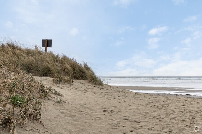 A view of the dunes and Heceta Beach at the Heceta Beach County Park