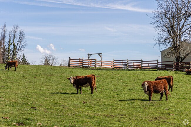 East Sandy River Area is home to many small dairy farms.