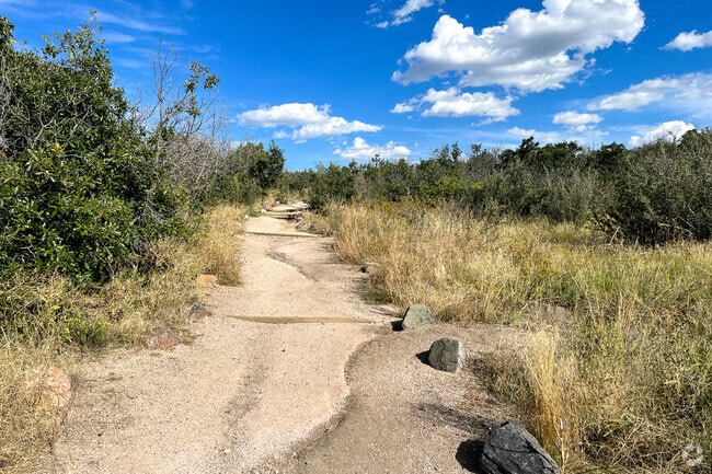 Hike to the top of The Castle Rock for some amazing views of Downtown Castle Rock.