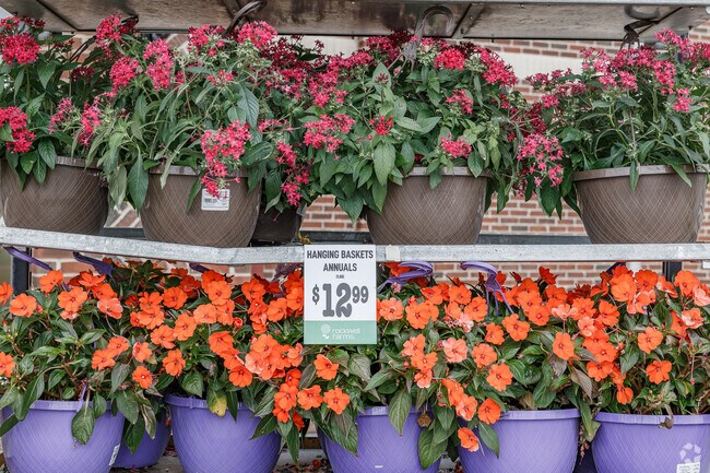 Kernersville's Lowes Foods boasts a colorful selection of plants and flowers.