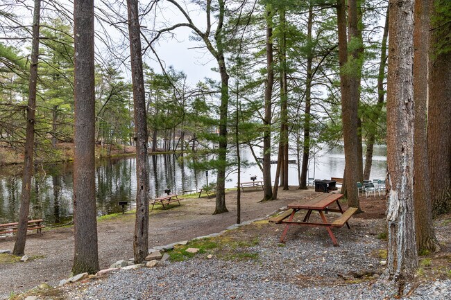 There is plenty of space to picnic at Shady Point Beach and Campground in Lunenburg.