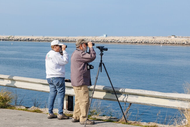 Go bird watching near the Ballona Wetlands in Playa Del Rey, CA.