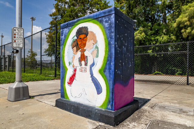 Beautiful painted art on city utility boxes by local artist scattered all around Lorna Doone.