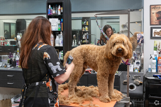 Pamper your puppy at Muddy Paws dog grooming in Livermore.