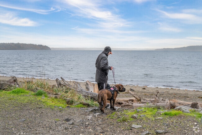 Maplewild’s Three Trees Point offers a quiet place for dogs to roam and play.