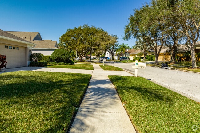 Locals can stroll along the sidewalks in Tampa's Arbor Greene neighborhood.