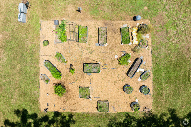 Learn the basics of gardening at  Trilogy School of Learning Alternative.