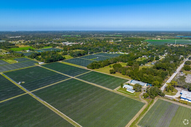 Dover is a semi-rural suburb about 20 miles east of Tampa.