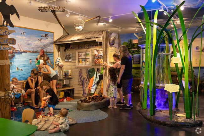 Kids engage with hands-on displays about coastal wildlife at Great Bay Discovery Center.