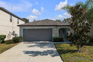 13343 Willow Bluestar Lp, Riverview, FL 33579
