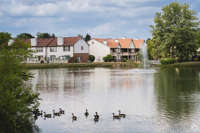 Shadow Lake Condos feature swings to watch the ducks swim.