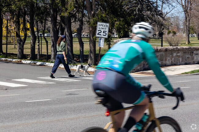 Locals get their daily exercise near Rosemont.