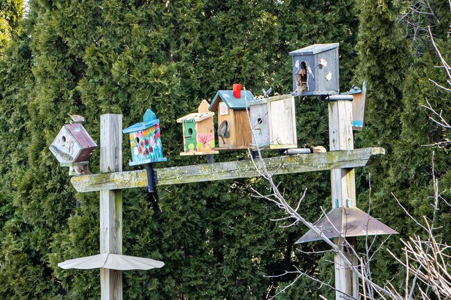 Even the birds say Wedgewood is a great place to live.