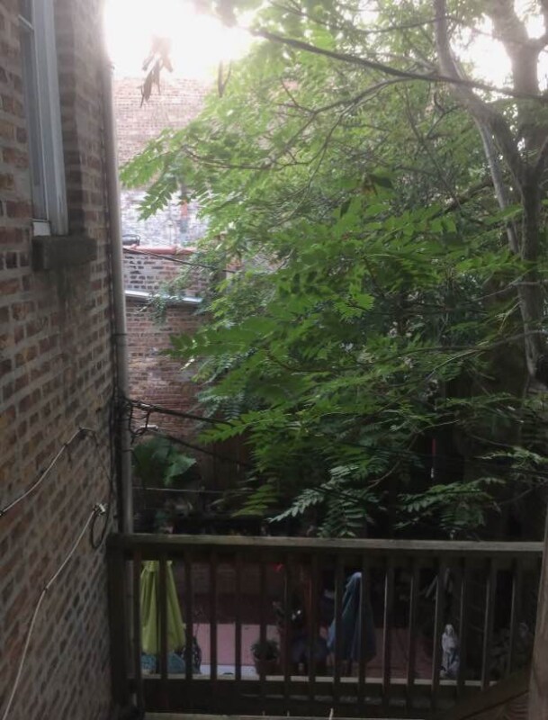 2908 N Wisner Ave unit 2, Chicago, IL 60618 - photo 2