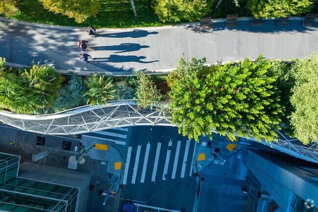 Salesforce Park floats above the streets of Yerba Buena.