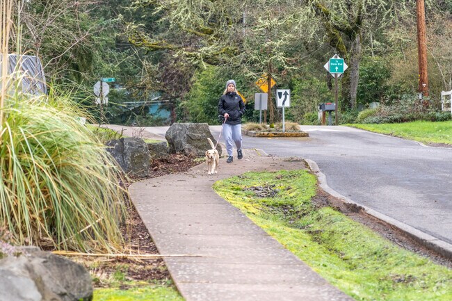 Residents of Crest Drive walk their dogs through the neighborhood streets.