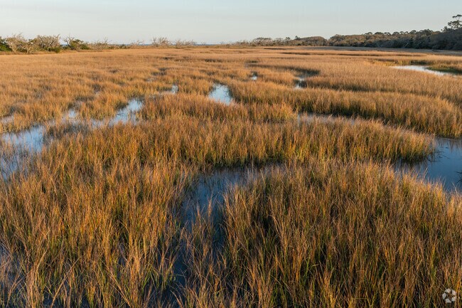Town Commons residents get to live among the beautiful Golden Isles of Georgia.
