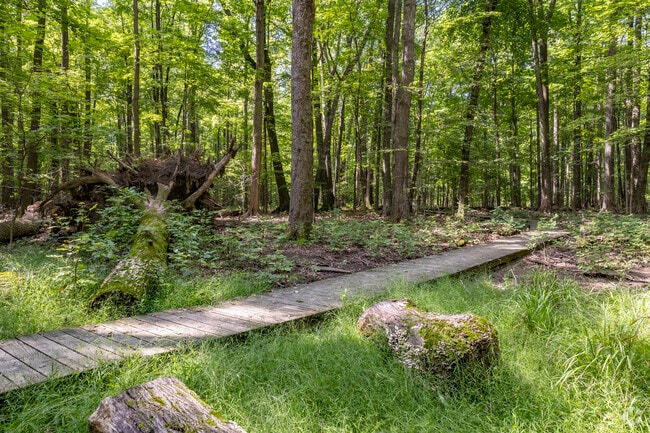 Hach-Otis Sanctuary State Nature Preserve in Willoughby Hills is on private land open to all.