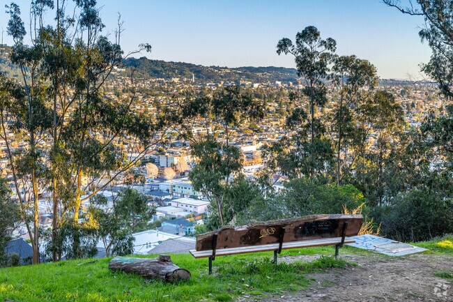You have gorgeous views of the Albany hillside from Albany Hill Park.