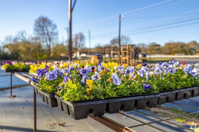 Seasonal flowers add a bright touch to errand runs in Reno, TX.