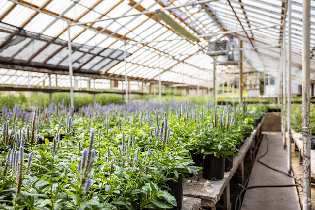 Pick up flowers for your special occasion at Janousek Florist & Greenhouse.